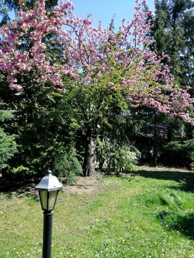 Villa Andy Прага Екстериор снимка